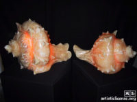 Hand-carved conch shells in onyx